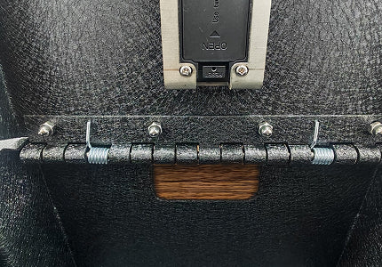 Hidden dual-spring hinge